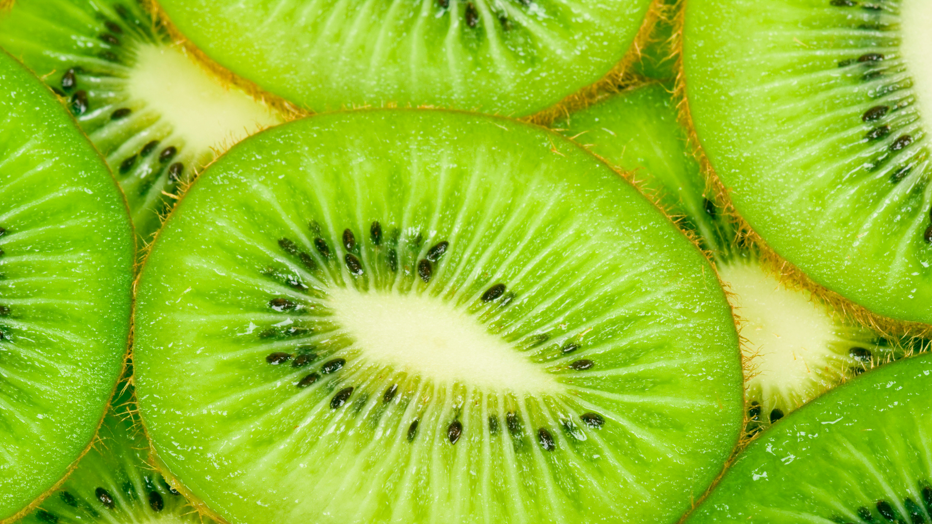 Kiwifruit.png